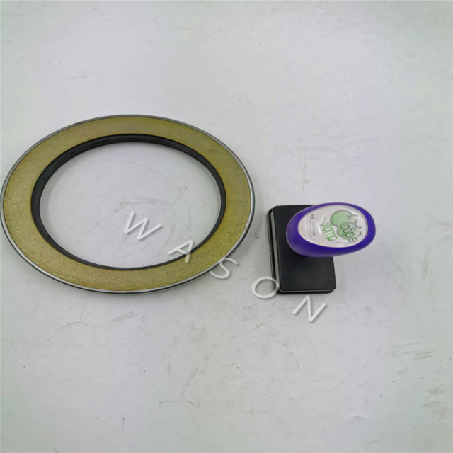 TCN Oil Seal 120*160*17