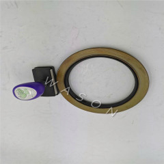 TCN Oil Seal 120*160*17