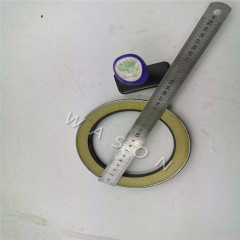 TCN Oil Seal 120*160*17