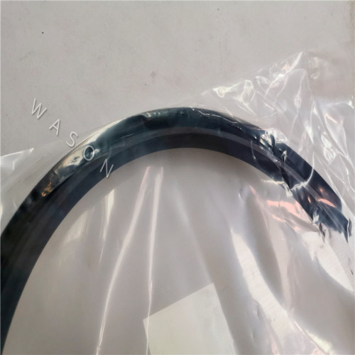 TCN Oil Seal BW5856 252*287*21