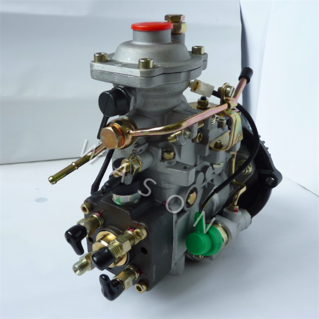 Fuel Injection Pump  411F1900L00Z