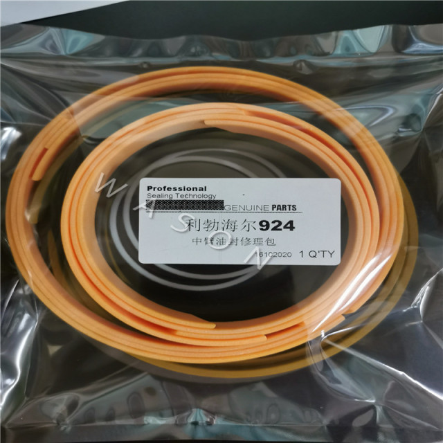 R924 Liebherr Cylinder Seal Kit