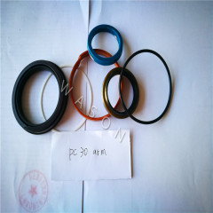 PC30 Cylinder Seal Kit