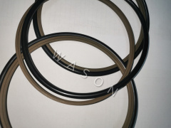 Rod Seal HBTS