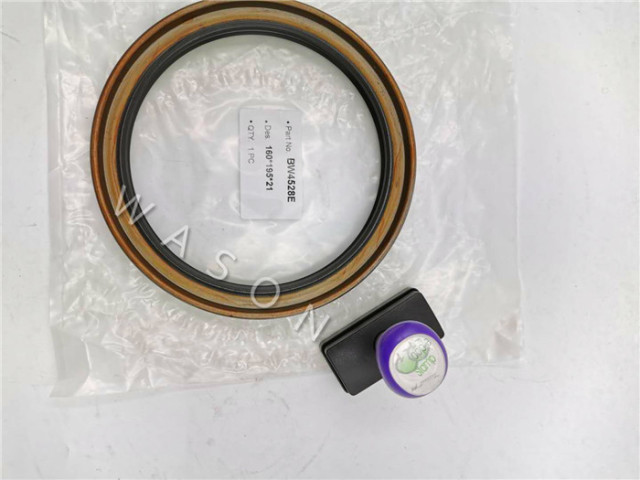 OIL SEAL BW4528 160*195*21