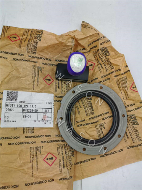 TCN 6D31T  Rear Crankshaft Oil Seal BH3258E 100*124*14.5