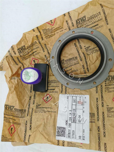 TCN 6D31T  Rear Crankshaft Oil Seal BH3258E 100*124*14.5