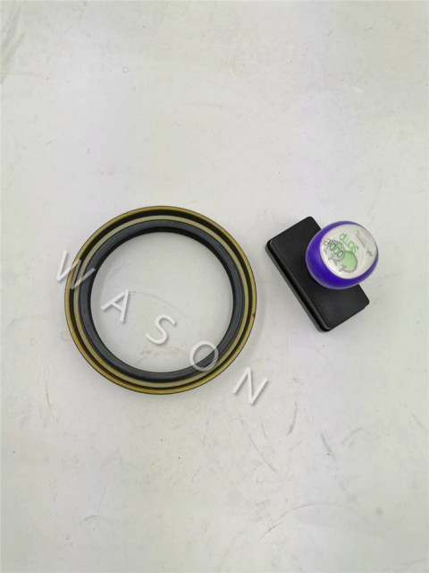 OIL SEAL AW4068 100*125*20