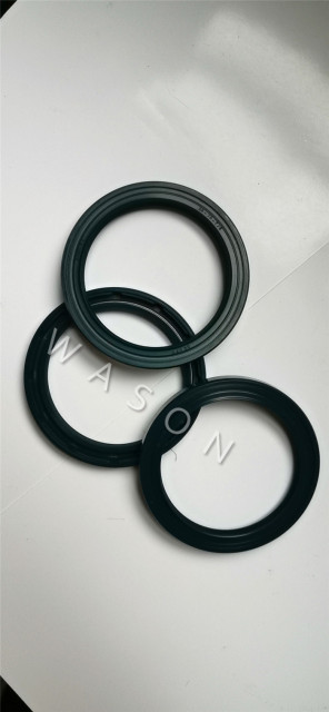 Oil Seal  CFW 55*70*6/7