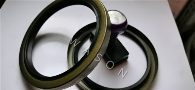 TCN Oil Seal AD4399 125*155*14