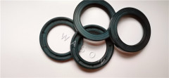 Oil Seal  CFW 45*62*7