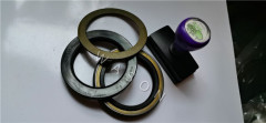 TCN Oil Seal  BP3054 65*90*12