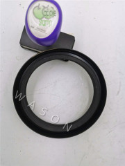 OIL SEAL BW4068 100*125*20