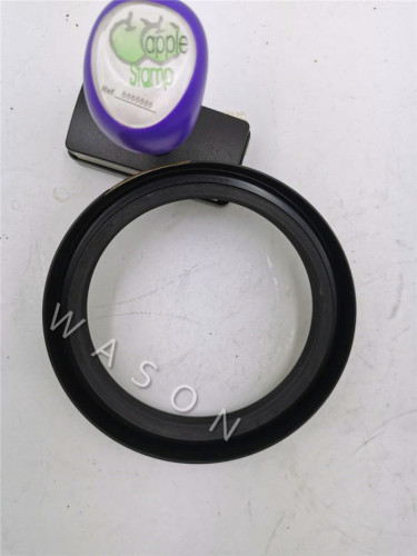 OIL SEAL BW4068 100*125*20