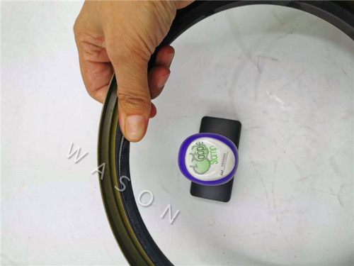 OIL SEAL BW4527 232*267*21