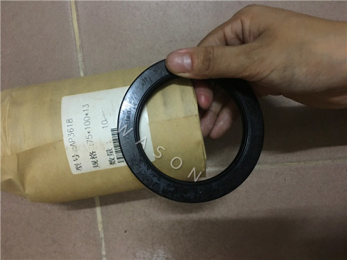 Oil Seal  AP3618G (75*100*13)