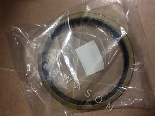 Oil Seal 210*250*20