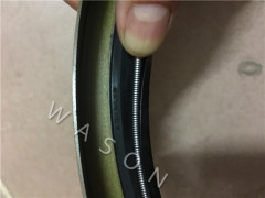 Oil Seal AD5562(280*320*22)