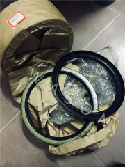 Oil Seal AD4983 (190*225*16)