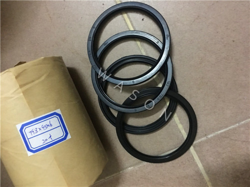 Oil Seal 79.8*95*6