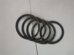 Rotary Seal SPN