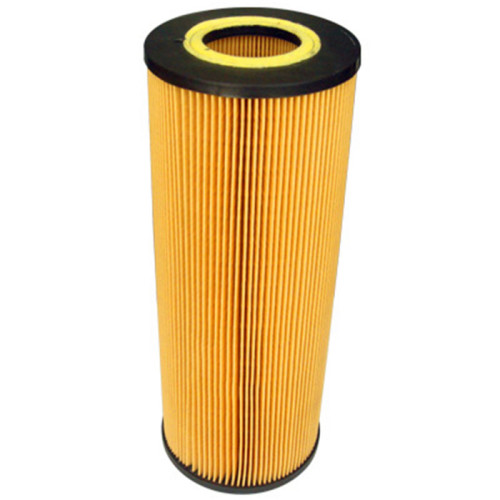 DSC06624  Fuel Filter