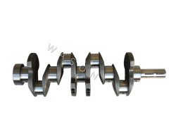 4D55 Alloy Crankshaft