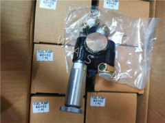 6D102  Fuel Injection Pump S6K Another Type