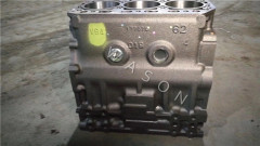 3TNV84 Cylinder Block Assy