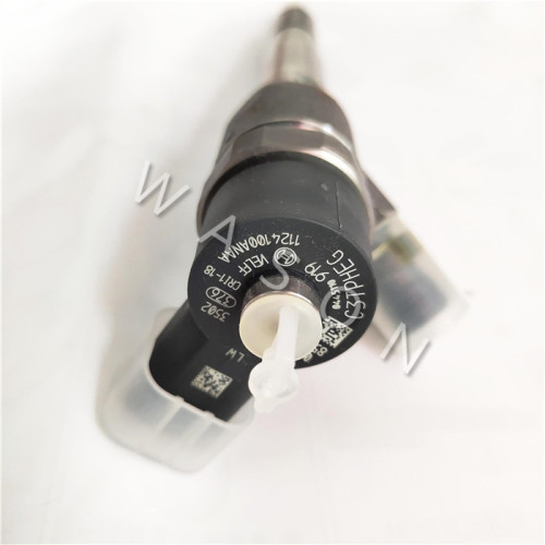 QSB5.9 4D25   Injector 0445110919