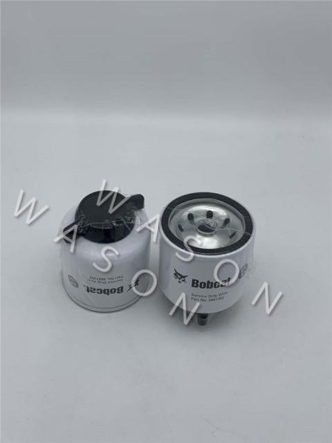 Fuel Filter 6667352  CC-5143X;6667352；P551039 100*80/68*50/M15