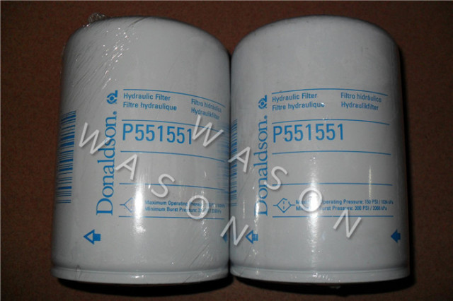 Oil Filter P551551 C1717