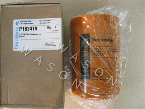 Fuel Filter  P163419