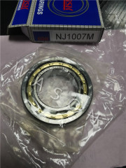 NJ1007EM Bearing 35-62-14