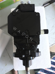 QSB5.9  Excavator Injection Pump