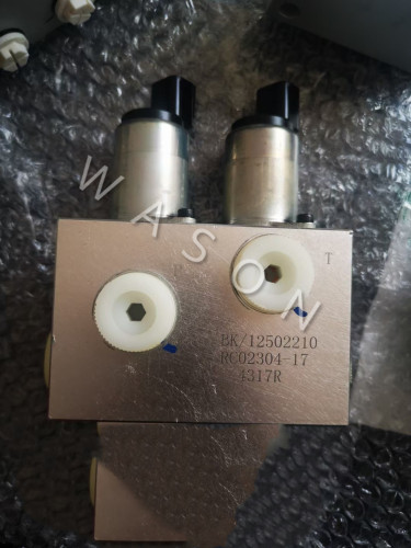 BK/12502210 RC02304-17 Excavator Pilot Solenoid Valve