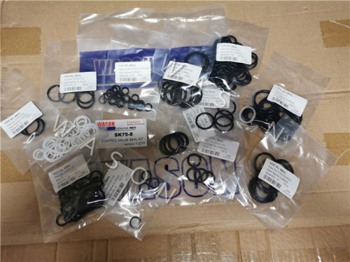 SK75-8 CONTROL VALVE SEAL KIT