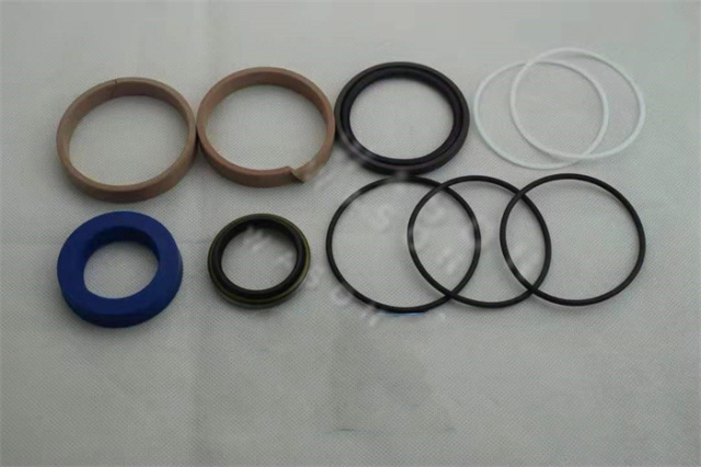 EX20 Cylinder Seal Kit