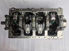 4JJ1  Cylinder Block Assy