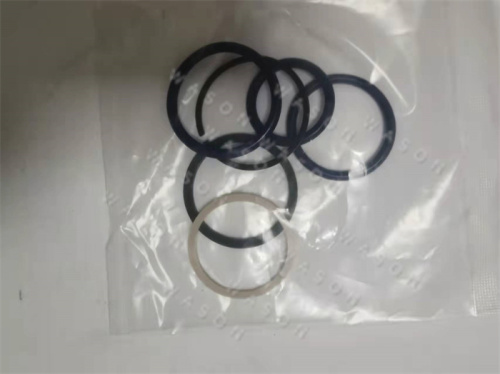 3126 Fuel Injector Seal Kit