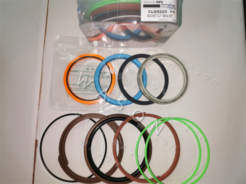 CLG922D Old One Cylinder Seal Kit