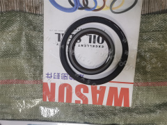 D7D Crankshaft Oil Seal  105090B52D/1005105B52D