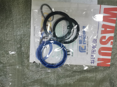 CLG925  ADJ SEAL KIT