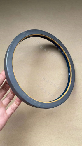 Oil Seal  165*190*17