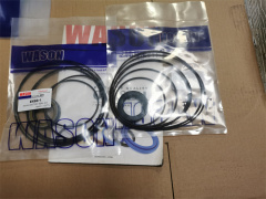 EX60-1 SWING MOTOR SEAL KIT