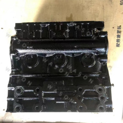 3TNV74 Cylinder Block Assy