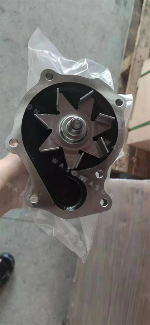 D3.8 Radiator Water Pump