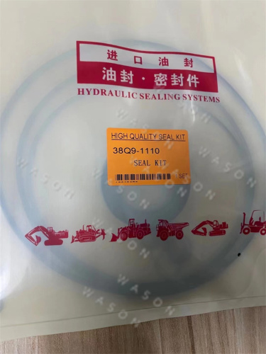 Hydraulic Pump Seal Kit 38Q9-1110