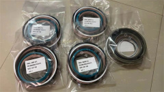 Liebherr R944 Cylinder Seal Kit 9063688/9154141