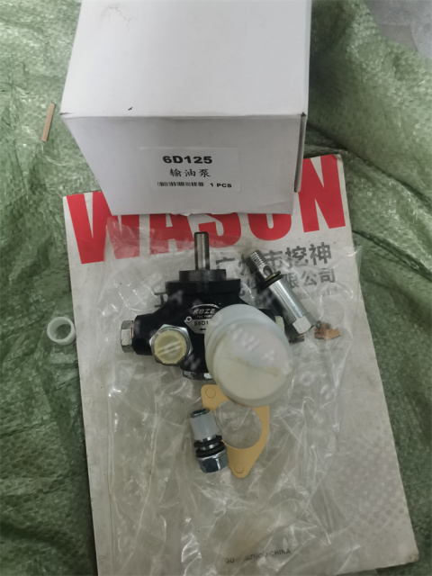 6D125  Fuel Injection Pump DK105217-6030